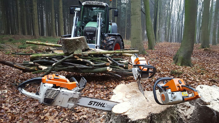 Traktor mit Holzpolter und zwei Motorsägen auf frischem Stubben bei Forstarbeiten im Wald.