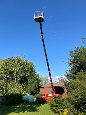Raupen-Arbeitsbühne im Garten mit ausgefahrenem Korb